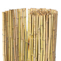 Bamboerol naturel H180 x L180 cm