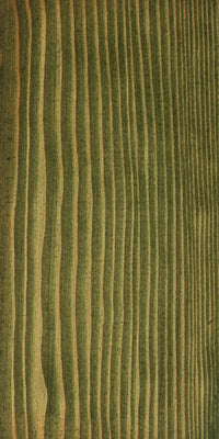 Embadecor Dennengroen 2,5 ltr